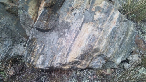 Гигантские зелёные валуны для ландшафтного дизайна весом более 5 тонн купить в Тюменской области