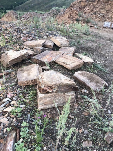 Пошаговая дорожка из плит златолит кора дерева купить в Тюменской области